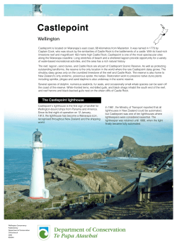 Castlepoint - Department of Conservation