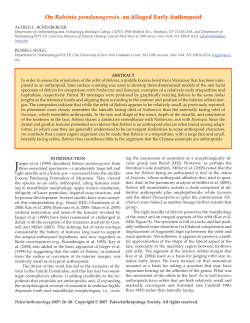 On Bahinia pondaungensis, an Alleged Early Anthropoid