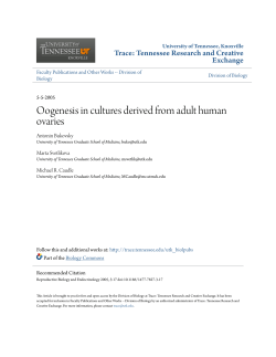 Oogenesis in cultures derived from adult human ovaries