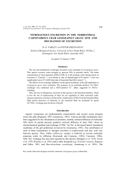 179 nitrogenous excretion in the terrestrial carnivorous crab