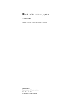 Black robin recovery plan 2001-2011
