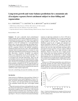 Long-term growth and water balance predictions for a mountain ash
