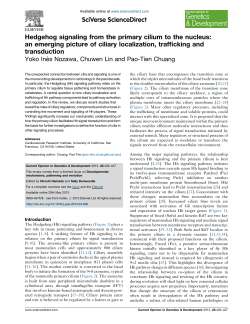 Hedgehog signaling from the primary cilium to the nucleus: an