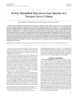 Newly Identified Mycobacterium Species in a Xenopus