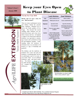 Keep your Eyes Open to Plant Disease