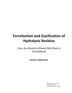 Torrefaction and Gasification of Hydrolysis Residue