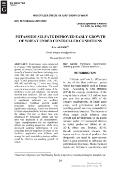 POTASSIUM SULFATE IMPROVED EARLY GROWTH OF WHEAT