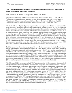 The Three-Dimensional Structure of Giardia lamblia Virus and its