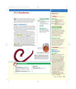 27&ndash;2 Roundworms
