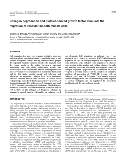 PDGF-BB stimulates cell motility on collagen fragments