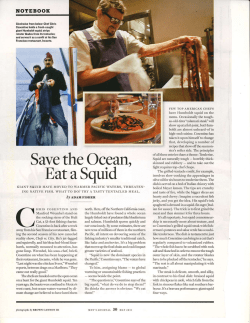 Save the Ocean, Eat a Squid