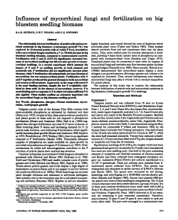 Influence of mycorrhizal bluestem seedling biomass fungi and