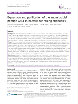 Expression and purification of the antimicrobial peptide GSL1 in