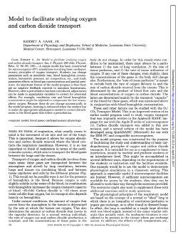 Model to facilitate studying oxygen and carbon dioxide transport