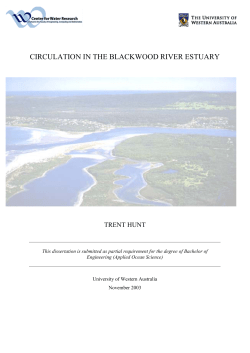 circulation in the blackwood river estuary