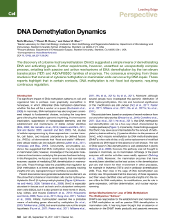 DNA Demethylation Dynamics