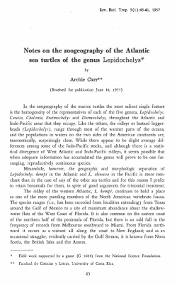 Notes on the zoogeography of the Atlantic sea turtles of the genus
