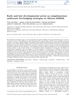 Early and late developmental arrest as complementary embryonic
