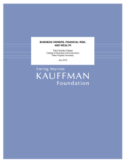 Entrepreneurs, Financial Risk and Wealth