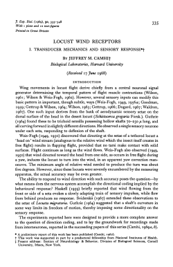 locust wind receptors - Journal of Experimental Biology