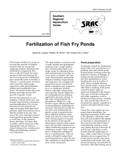 Fertilization of Fish Fry Ponds