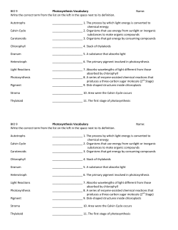 BIO 9 Photosynthesis Vocabulary Name: Write the correct term from