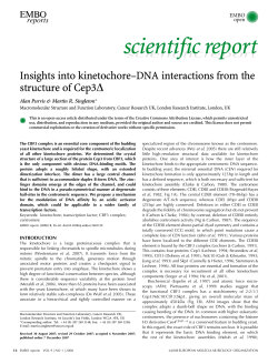 scientificreport