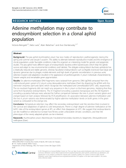 Adenine methylation may contribute to endosymbiont selection in a