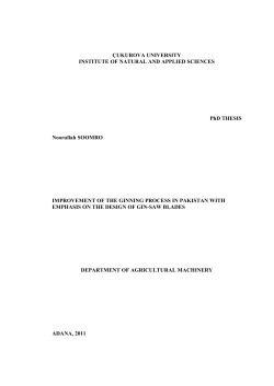 &Ccedil;UKUROVA UNIVERSITY INSTITUTE OF