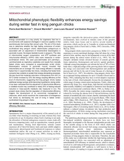 PDF + SI - Journal of Experimental Biology