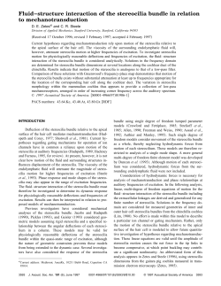 Fluid&ndash;structure interaction of the stereocilia bundle in relation to