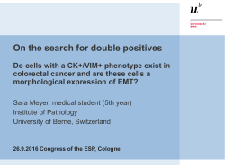 OFP-01-008-Meyer-The search for an epithelial