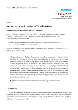 Nuclear Actin and Lamins in Viral Infections