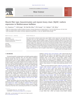 Muscle fiber type characterization and myosin heavy chain (MyHC