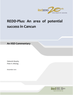 REDD-Plus: An area of potential success in Cancun