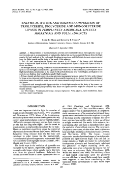 enzyme activities and isozyme composition of triglyceride