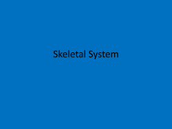 Skeletal System - Madison County Schools