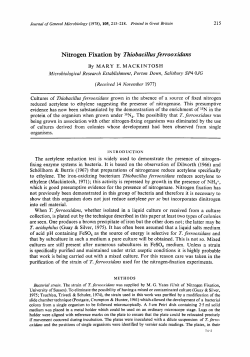 Nitrogen Fixation by Thiobacillus ferrooxidans