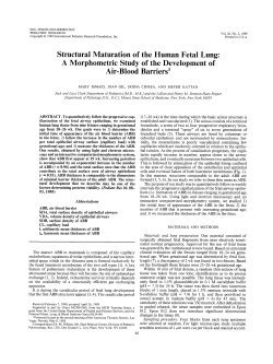 Structural Maturation of the Human Fetal Lung: A
