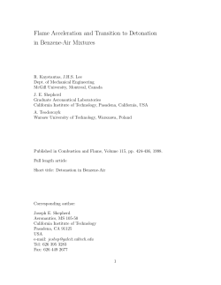 Flame Acceleration and Transition to Detonation in