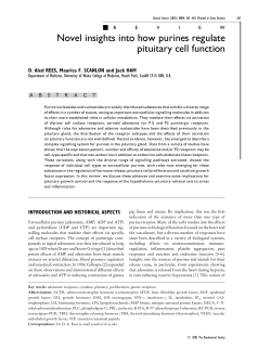 Novel insights into how purines regulate pituitary