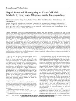 Rapid Structural Phenotyping of Plant Cell Wall