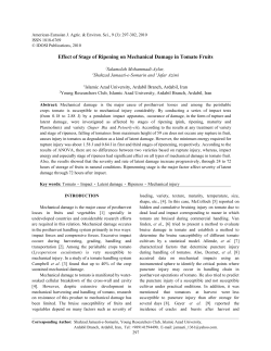 Effect of Stage of Ripening on Mechanical Damage in Tomato Fruits