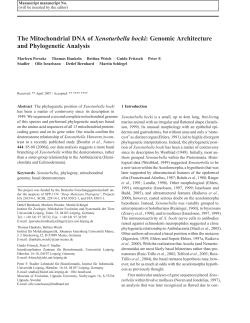 The Mitochondrial DNA of Xenoturbella bocki: Genomic Architecture