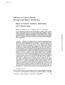 Diffusion of Carbon Dioxide through Lipid Bilayer Membranes