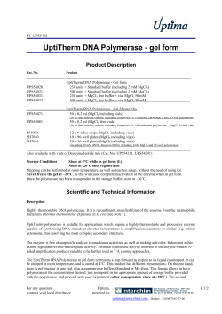 UptiTherm DNA Polymerase