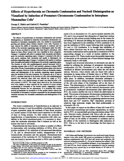 Effects of Hyperthermia on Chromatin Condensation and Nucleoli