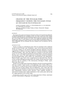 change of the nuclear pore frequency during
