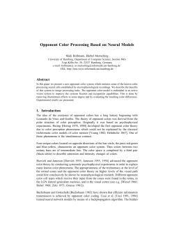 Opponent Color Processing Based on Neural Models