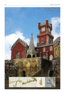 Devriesia imbrexigena